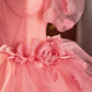 Pink Spaghetti Strap Tulle Floor Length Formal Evening Dress