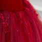 Burgundy Velvet Tulle Long Prom Dress